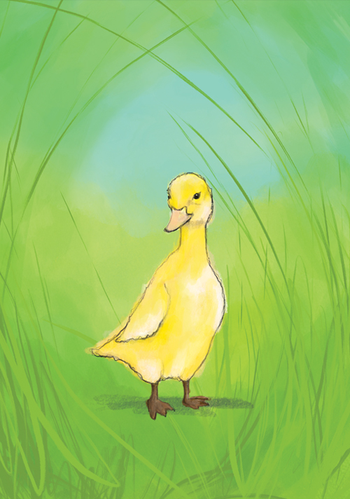 Postcard - Tabea Güttner - Chicks