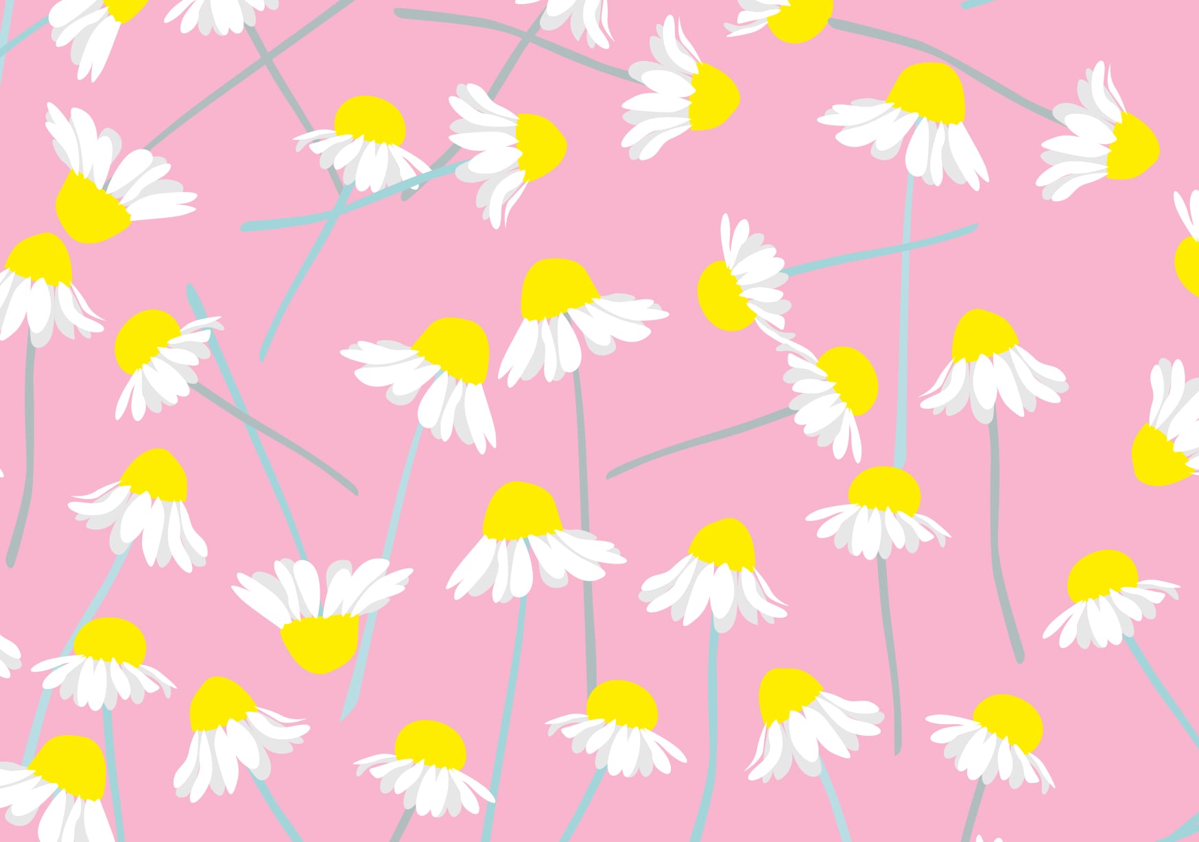 Postkarte - neonstyle - Kamillen