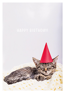 Postkarte - La Card - Birthday Cat Postkarte - La Card - Birthday Cat