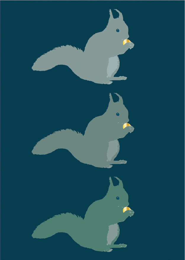 Postcard - Toni Starck - squirrels