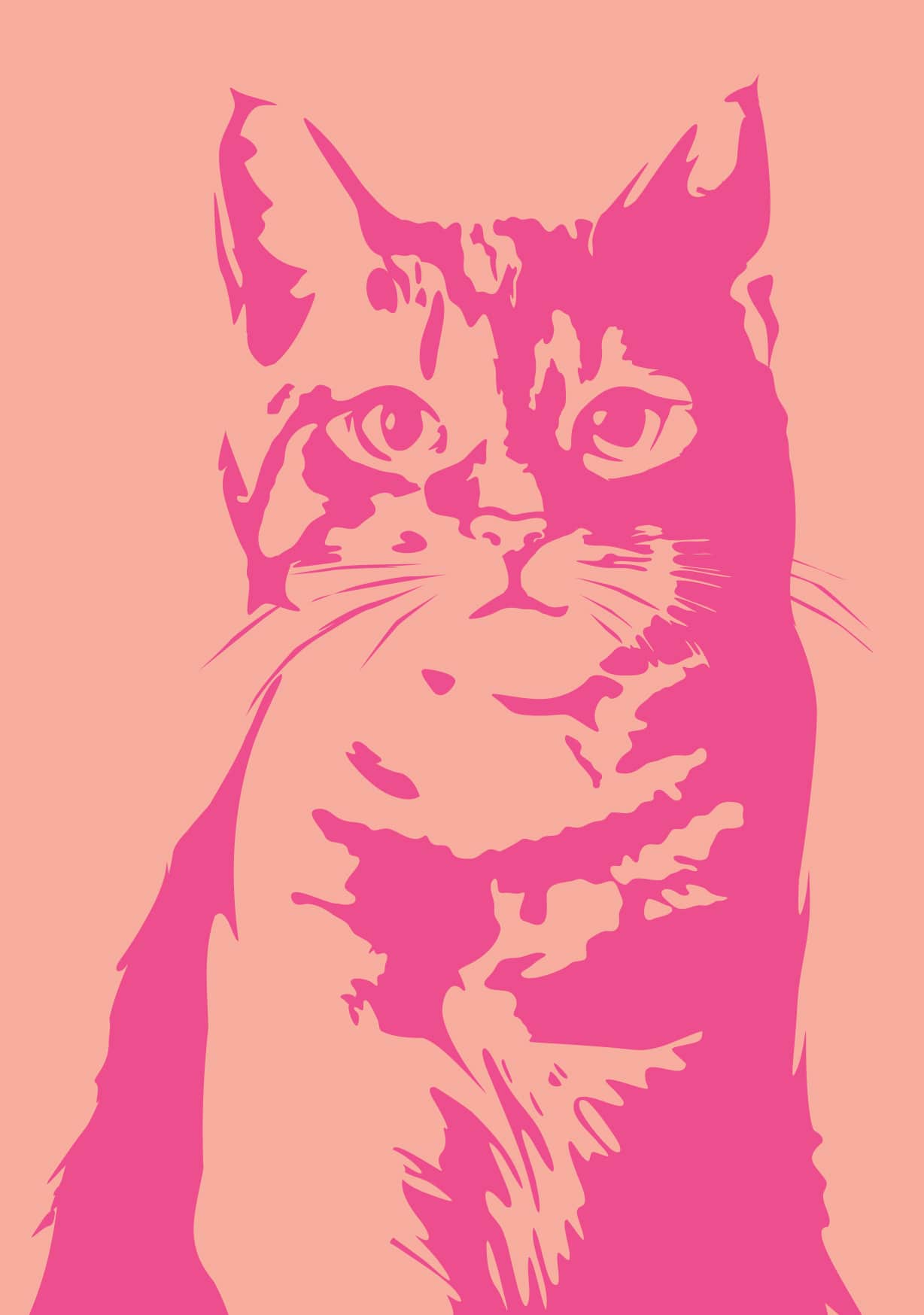 Postcard - Djune - Cat