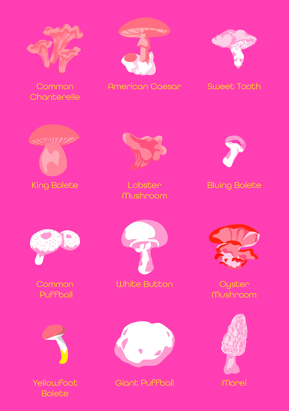 Postcard - neonstyle - Mushrooms