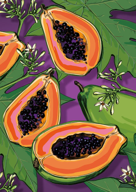 Postkarte - illi - PALIA