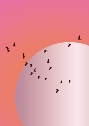 Postkarte - Toni Starck - Pink Birdsky