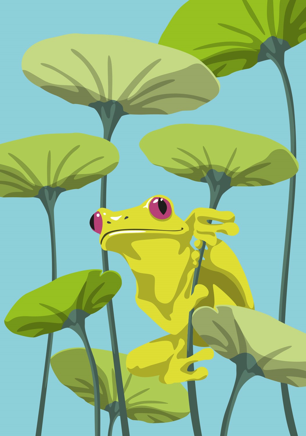 Postcard - luminous - Frog