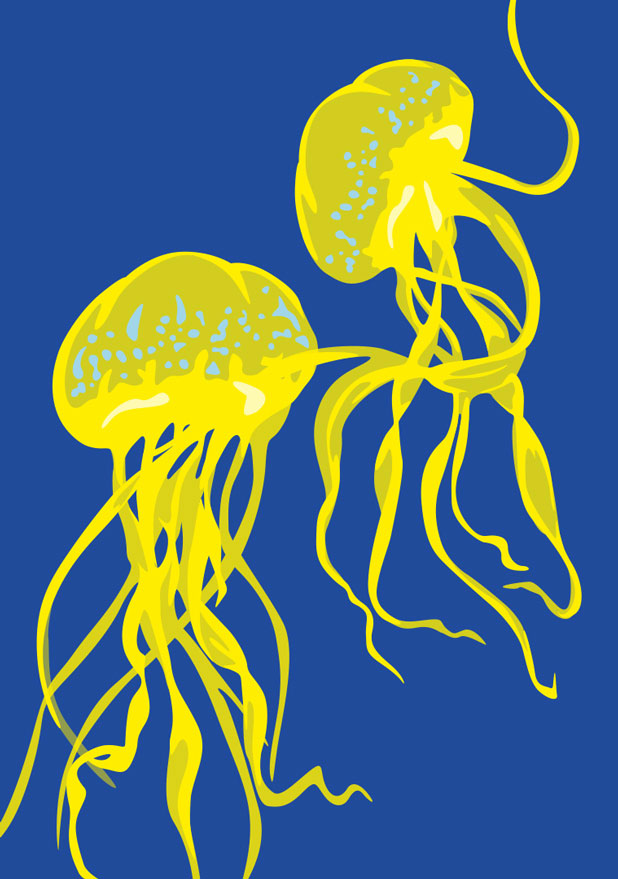 Postcard - luminous - jellyfish