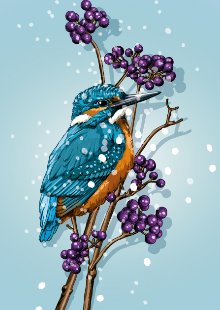 Postcard - illi - KUBI