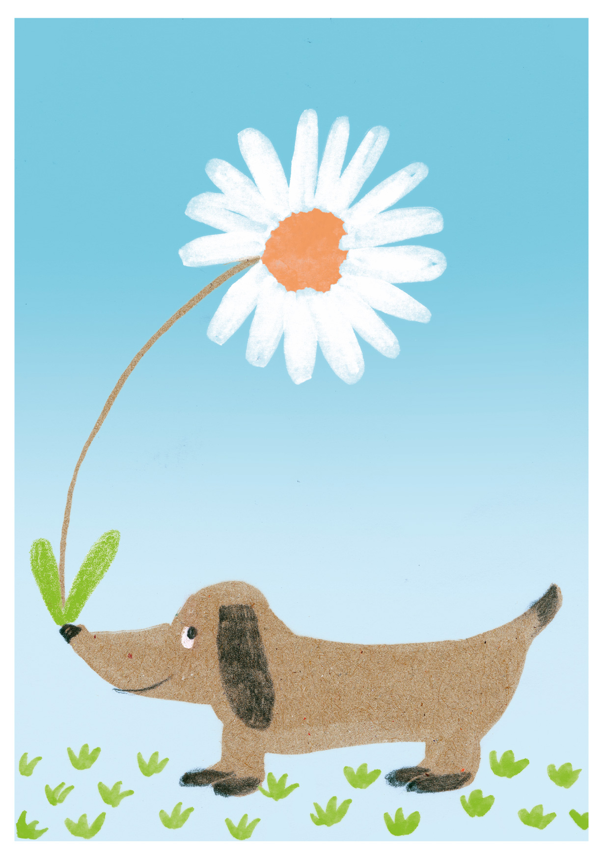 Postkarte - schönegrüsse - Dackel mit Blume
