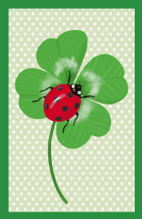 Minicard - Toni Starck - Ladybug