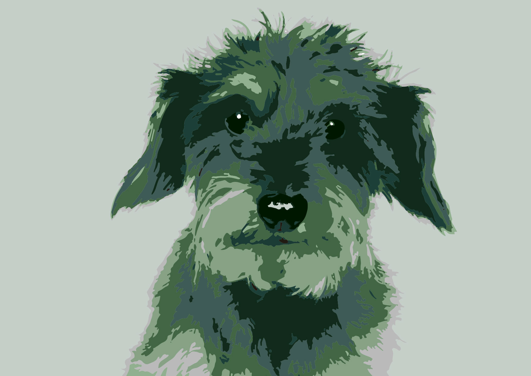 Postcard - Toni Starck - animal dachshund