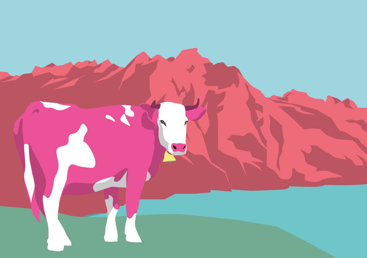 Postcard - luminous - Pink Cow