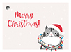 Geschenkanhänger - Mietzekatze Lichterkette