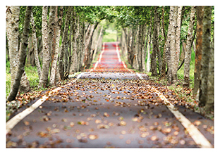 Postkarte - La Card - Path