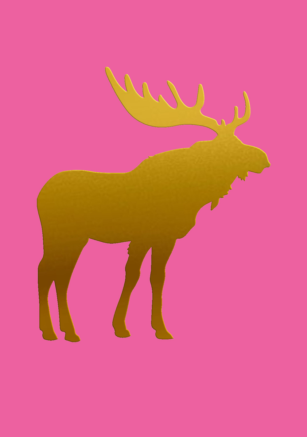 Postcard – pure – Moose