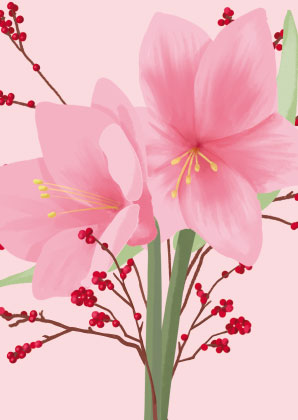 Postkarte - Toni Starck - Amaryllis