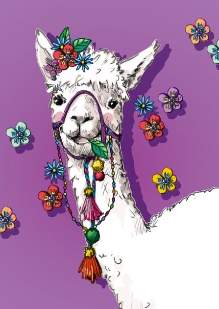 Postcard - illi - MUS